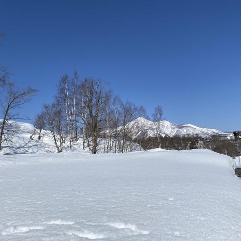 Niseko_land_1036